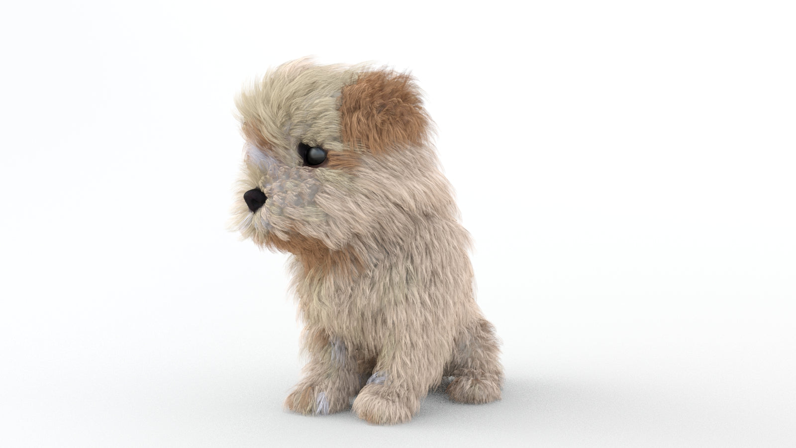 Animated Maltipoo Dog Puppy 3D Model Alpha Hair 360° view 2 frame 67
