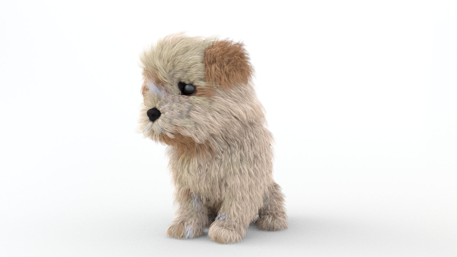 Animated Maltipoo Dog Puppy 3D Model Alpha Hair 360° view 2 frame 68