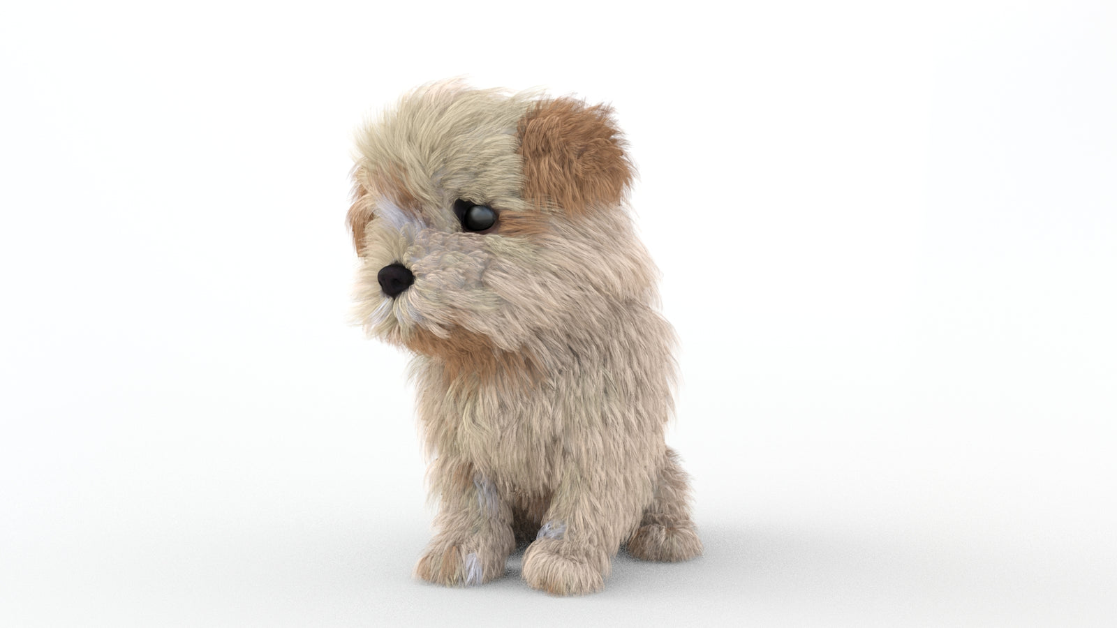 Animated Maltipoo Dog Puppy 3D Model Alpha Hair 360° view 2 frame 69