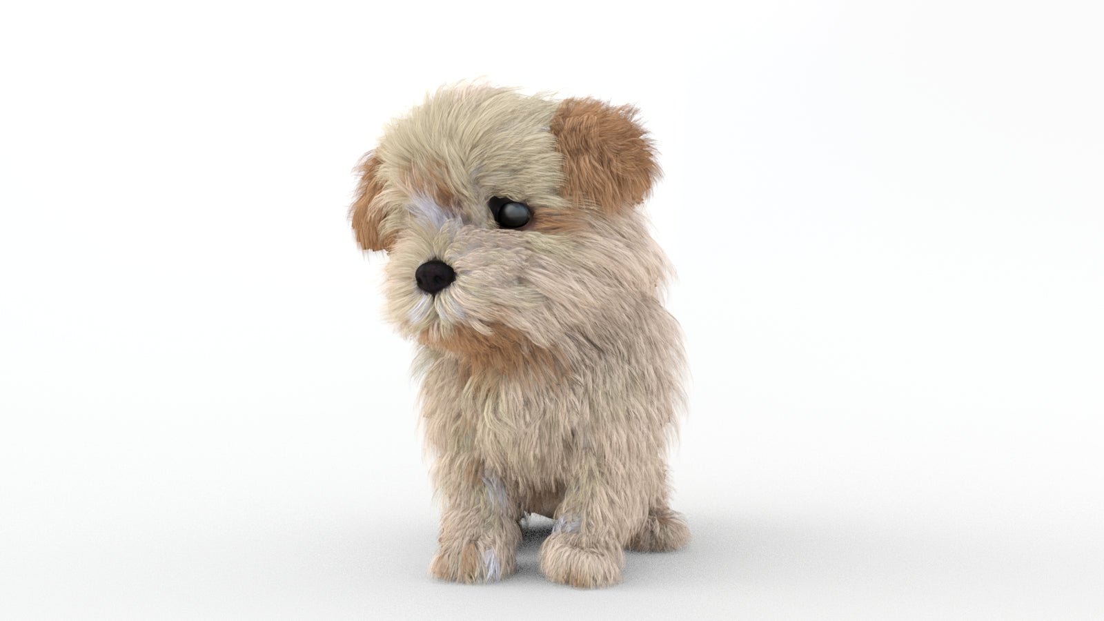 Animated Maltipoo Dog Puppy 3D Model Alpha Hair 360° view 2 frame 71