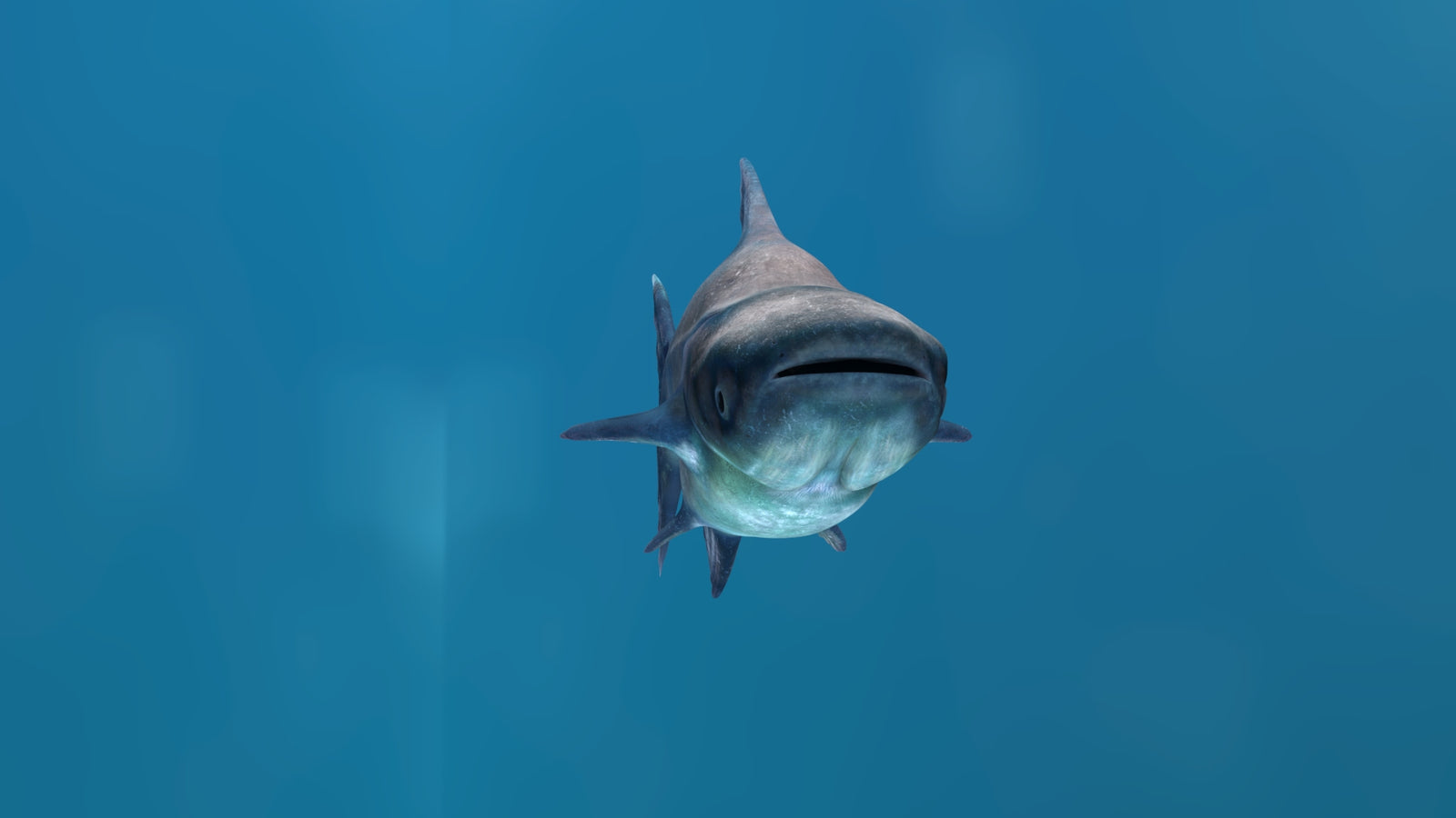 Mekong Giant Catfish 3D Model 360° view 1 frame 10