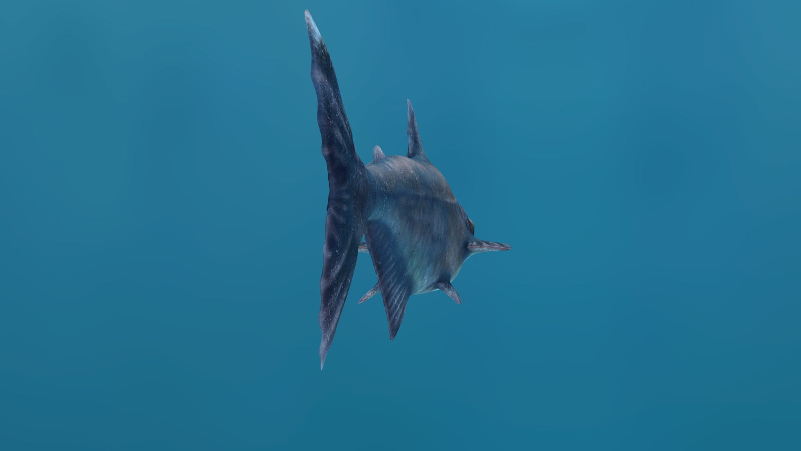 Animated Mekong Giant Catfish 3D Model 360° view 1 frame 26