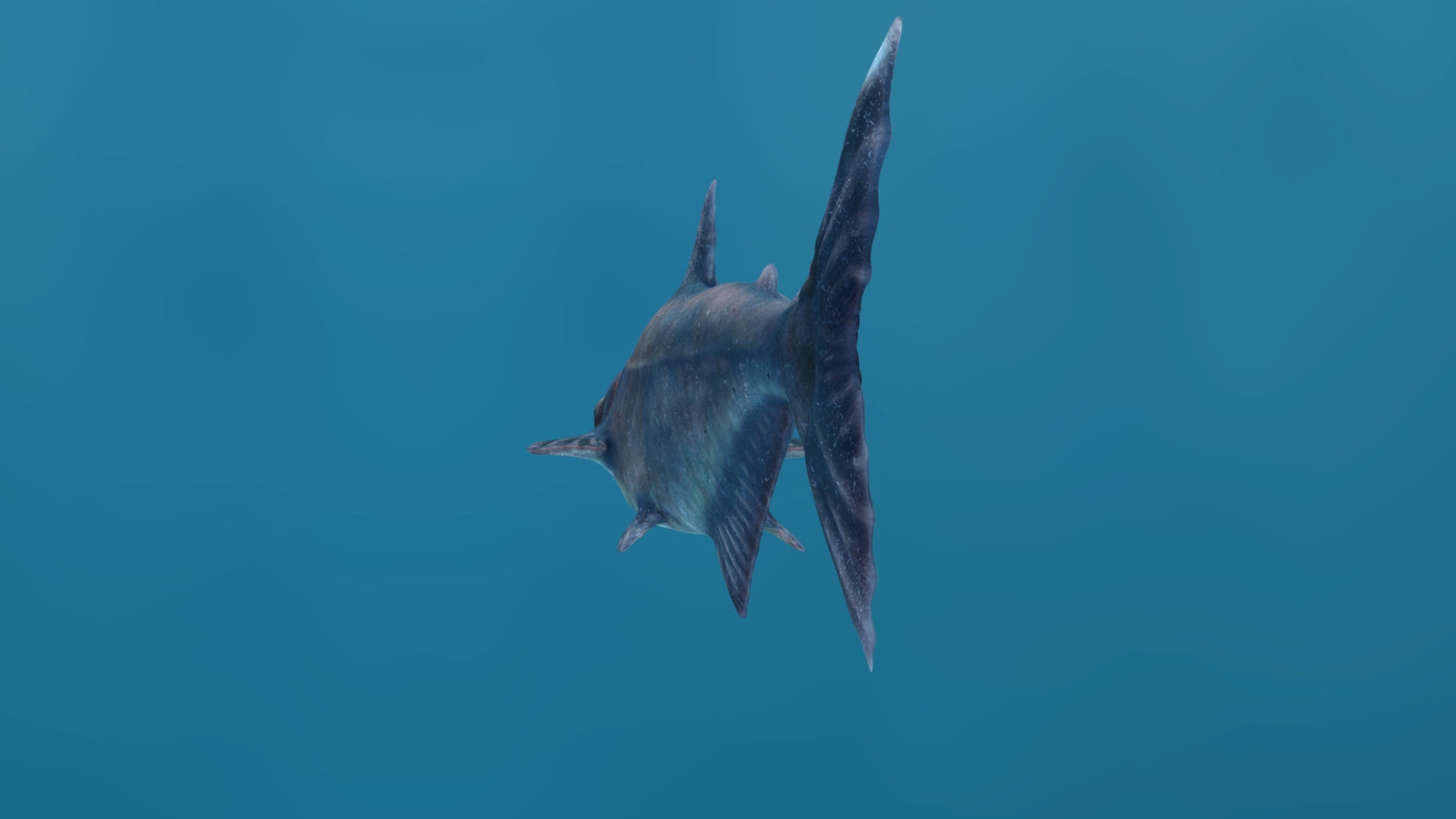 Animated Mekong Giant Catfish 3D Model 360° view 1 frame 28