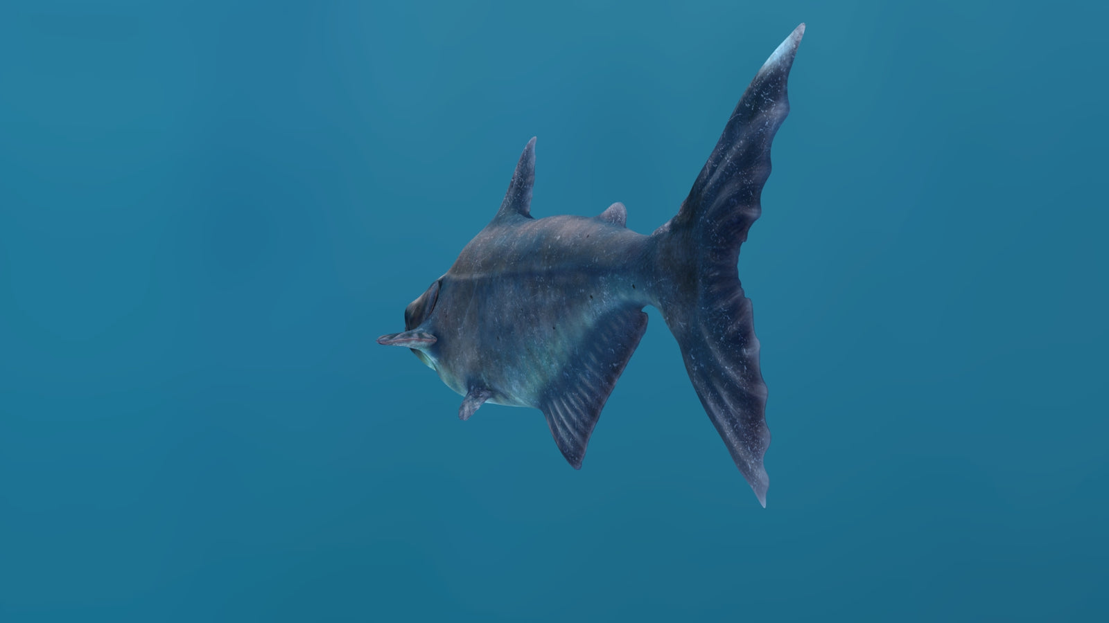 Mekong Giant Catfish 3D Model 360° view 1 frame 29