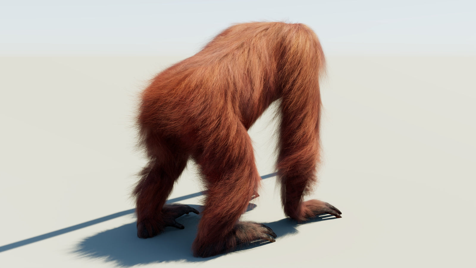 Orangutan Rigged Fur 3D Model 360° view 1 frame 14