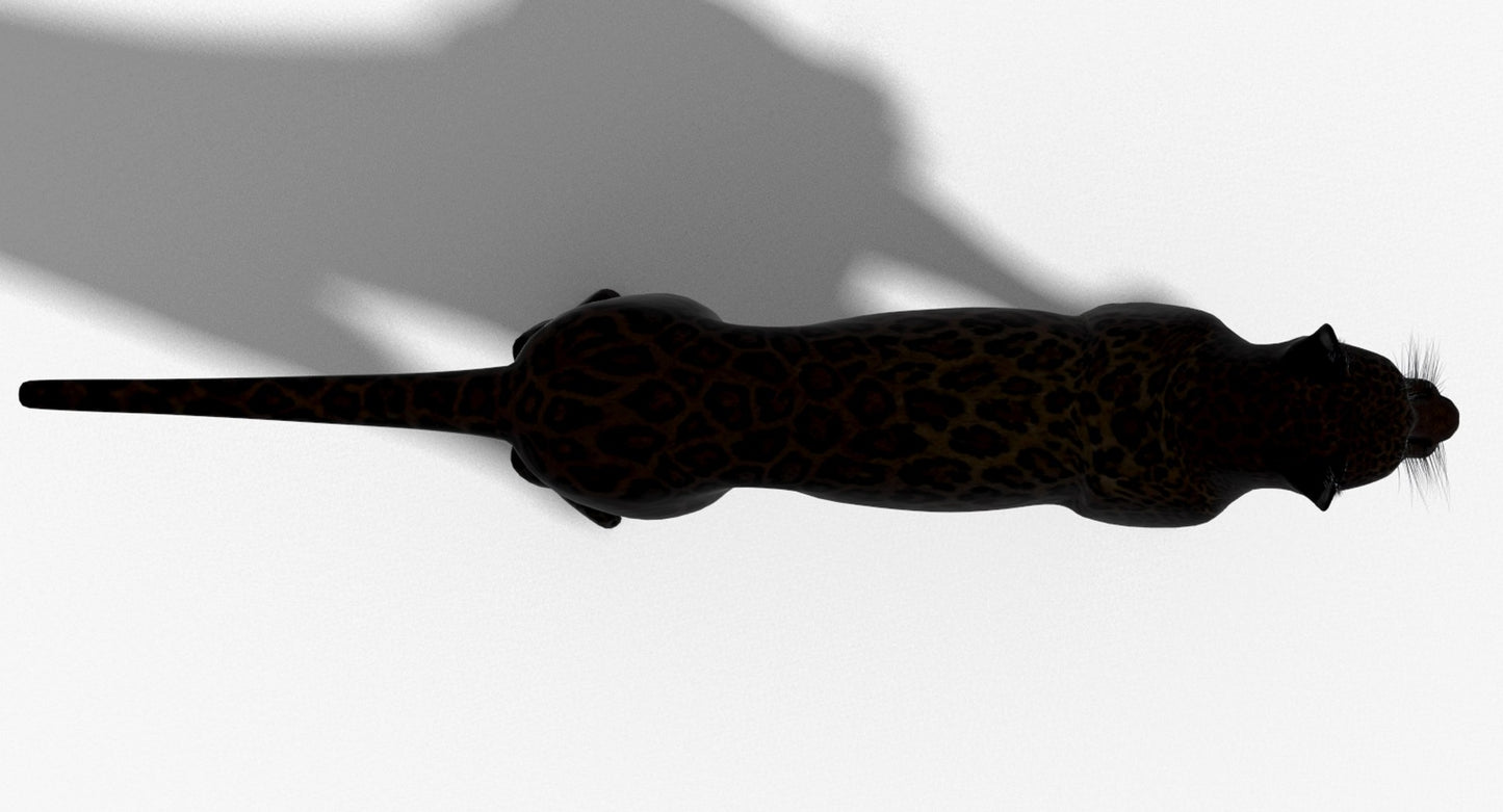 Big Cats 3D Model