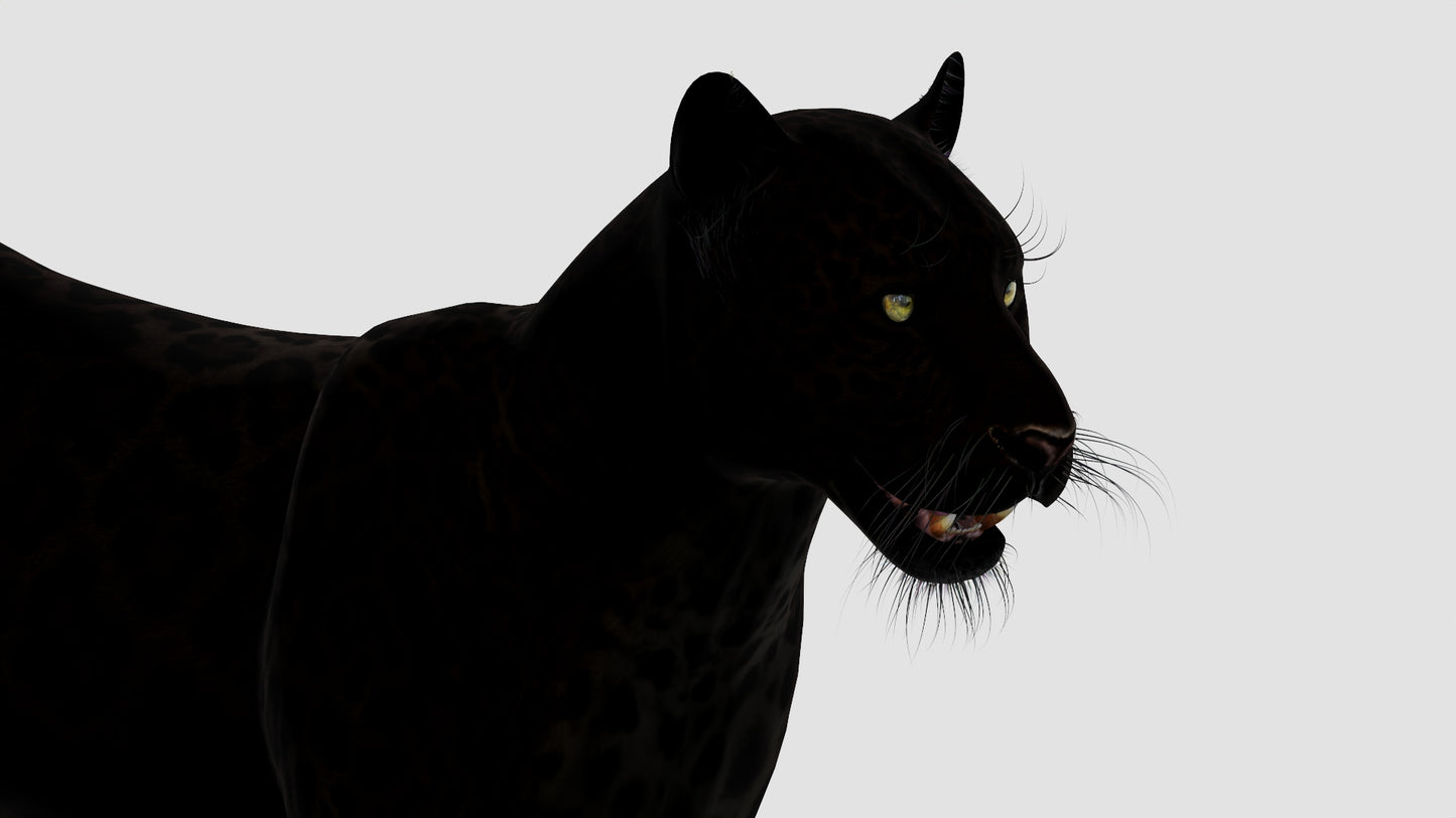 Panther 3D Model