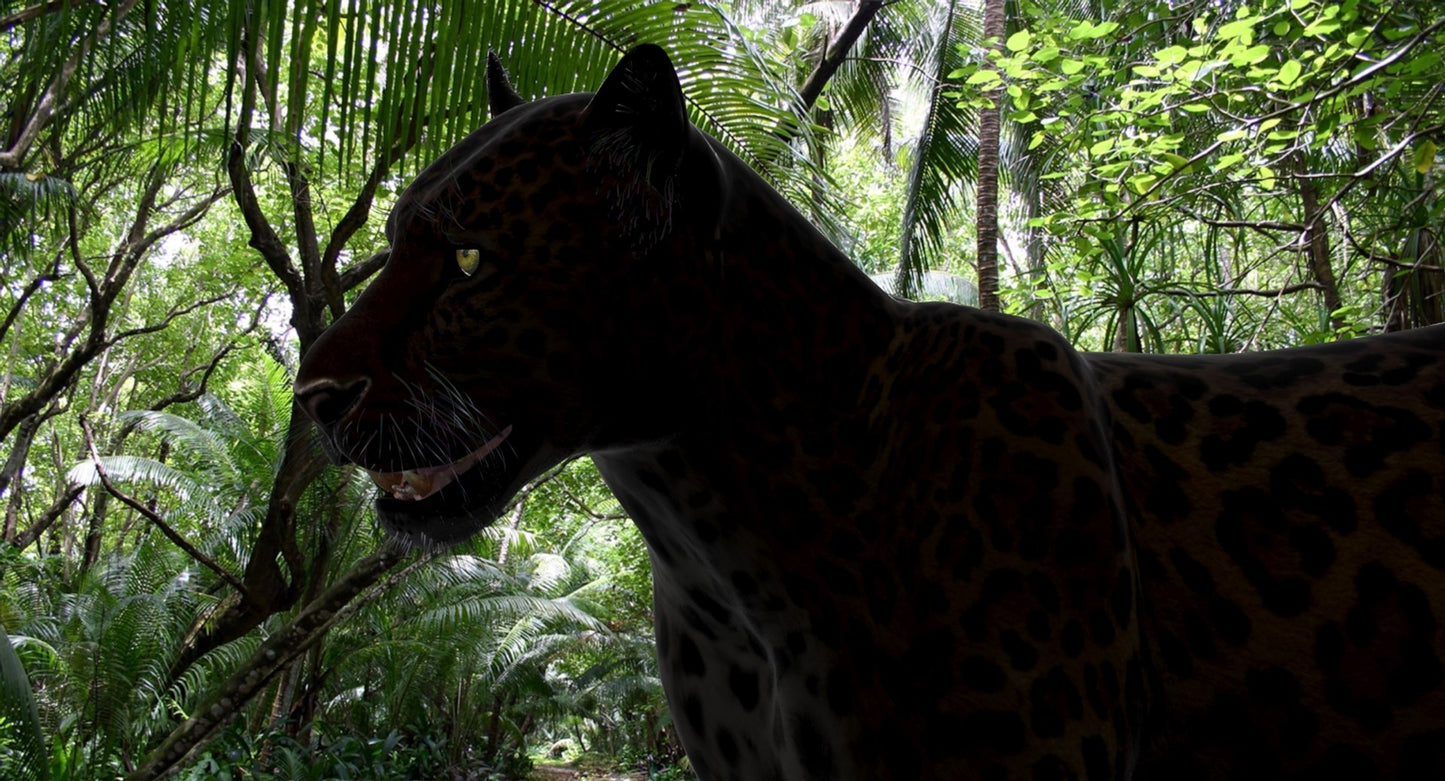 Big Cats 3D Model