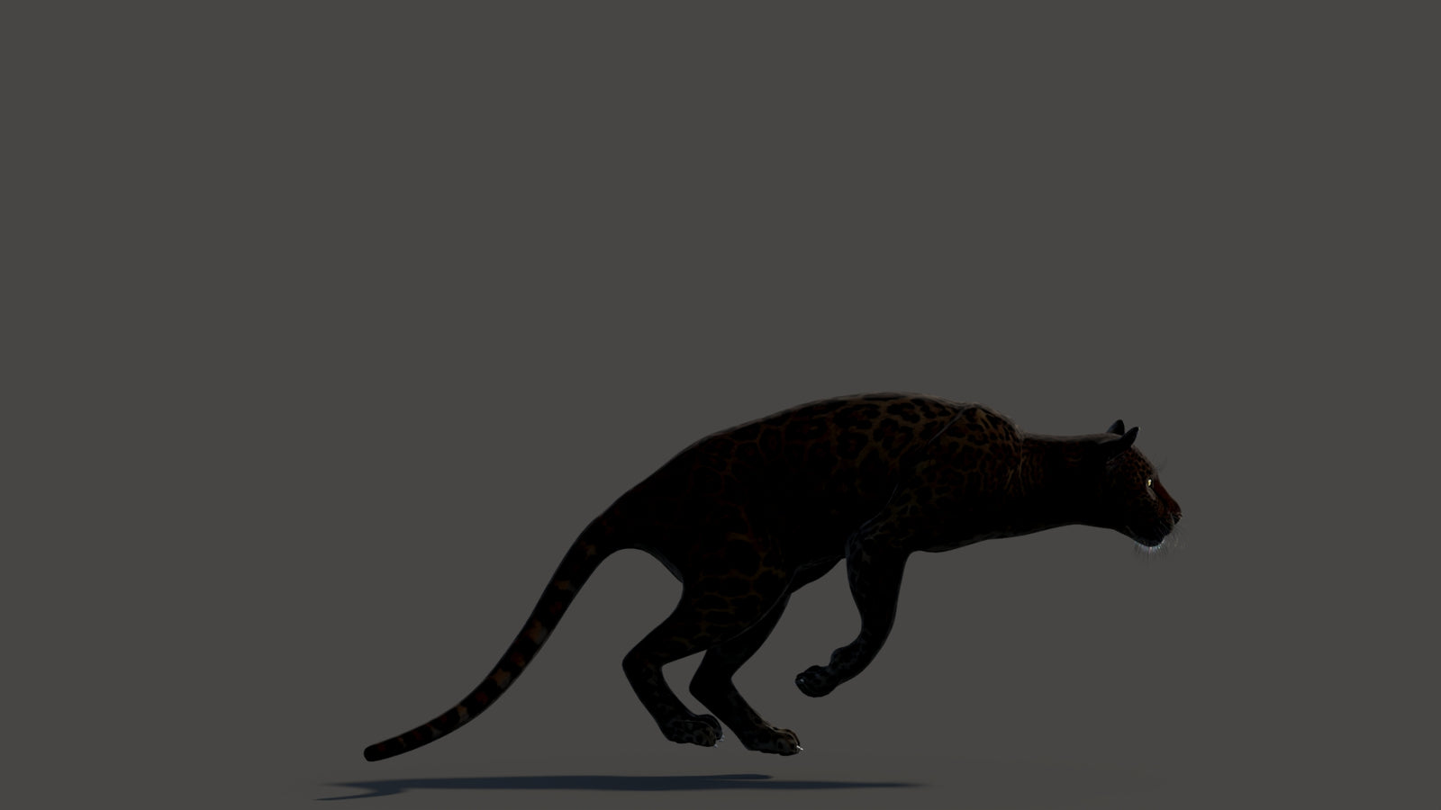 Animated Black Panther Animal 3D Model 360° view 3 frame 2