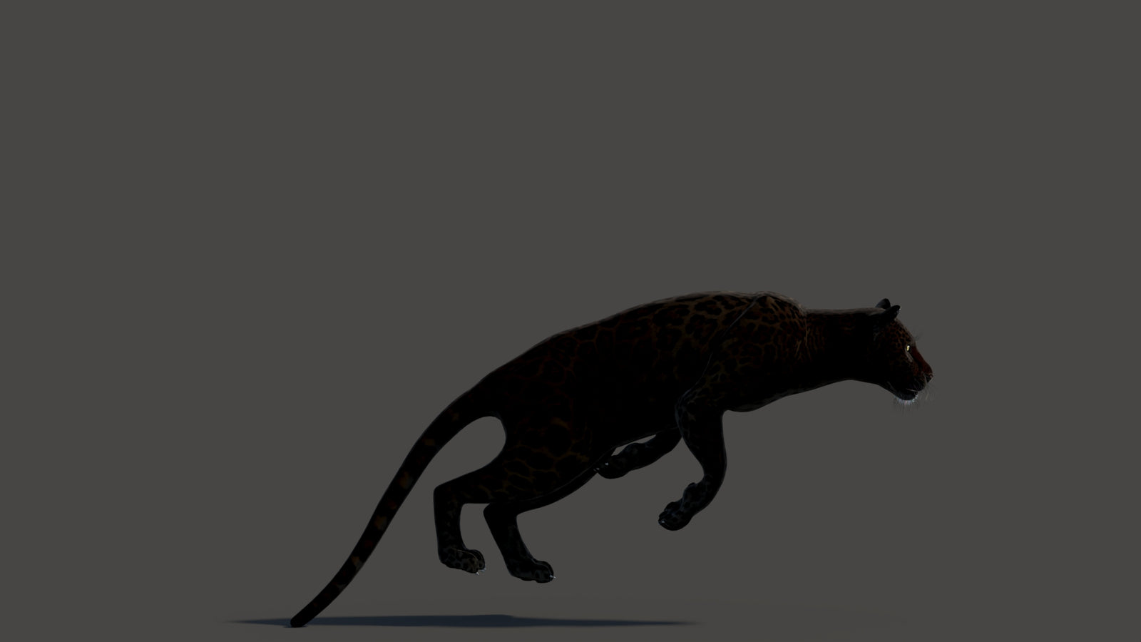 Animated Black Panther Animal 3D Model 360° view 3 frame 3