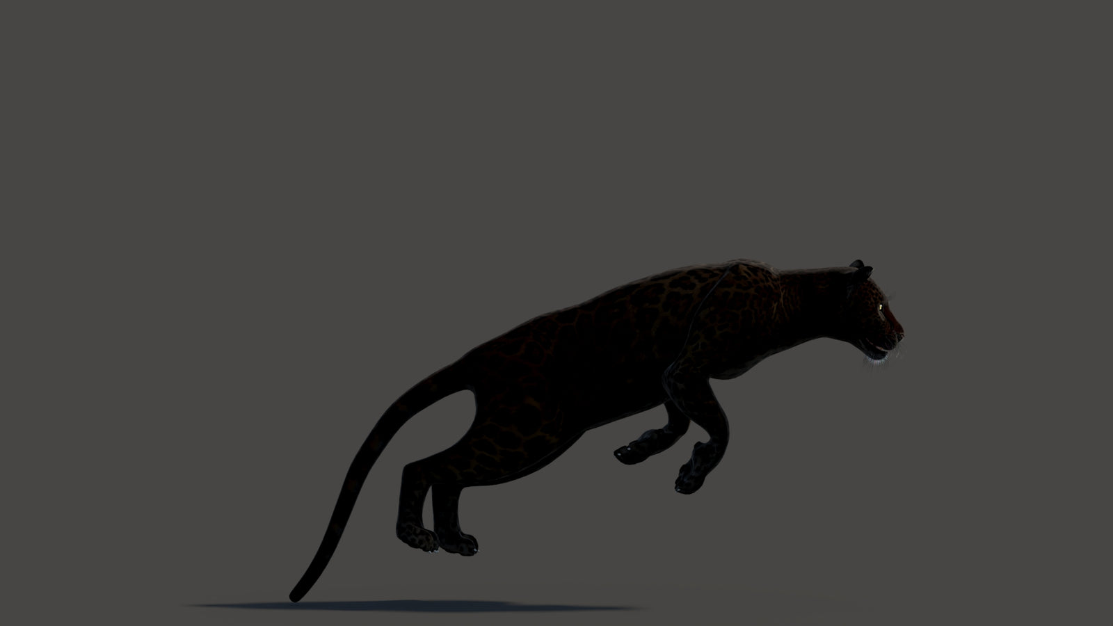 Animated Black Panther Animal 3D Model 360° view 3 frame 4