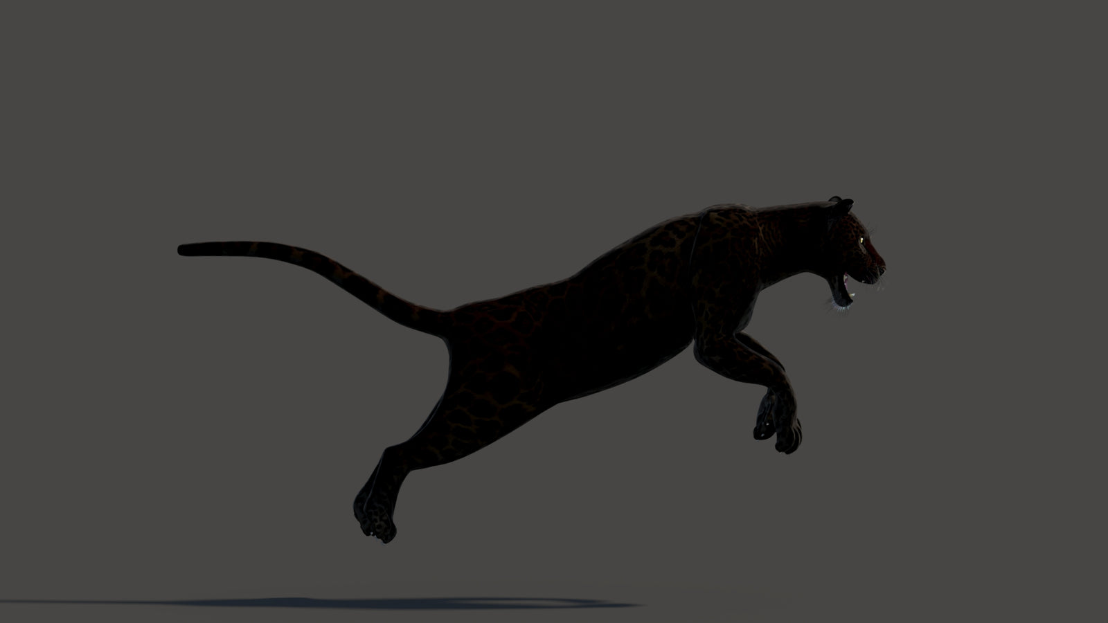 Animated Black Panther Animal 3D Model 360° view 3 frame 7