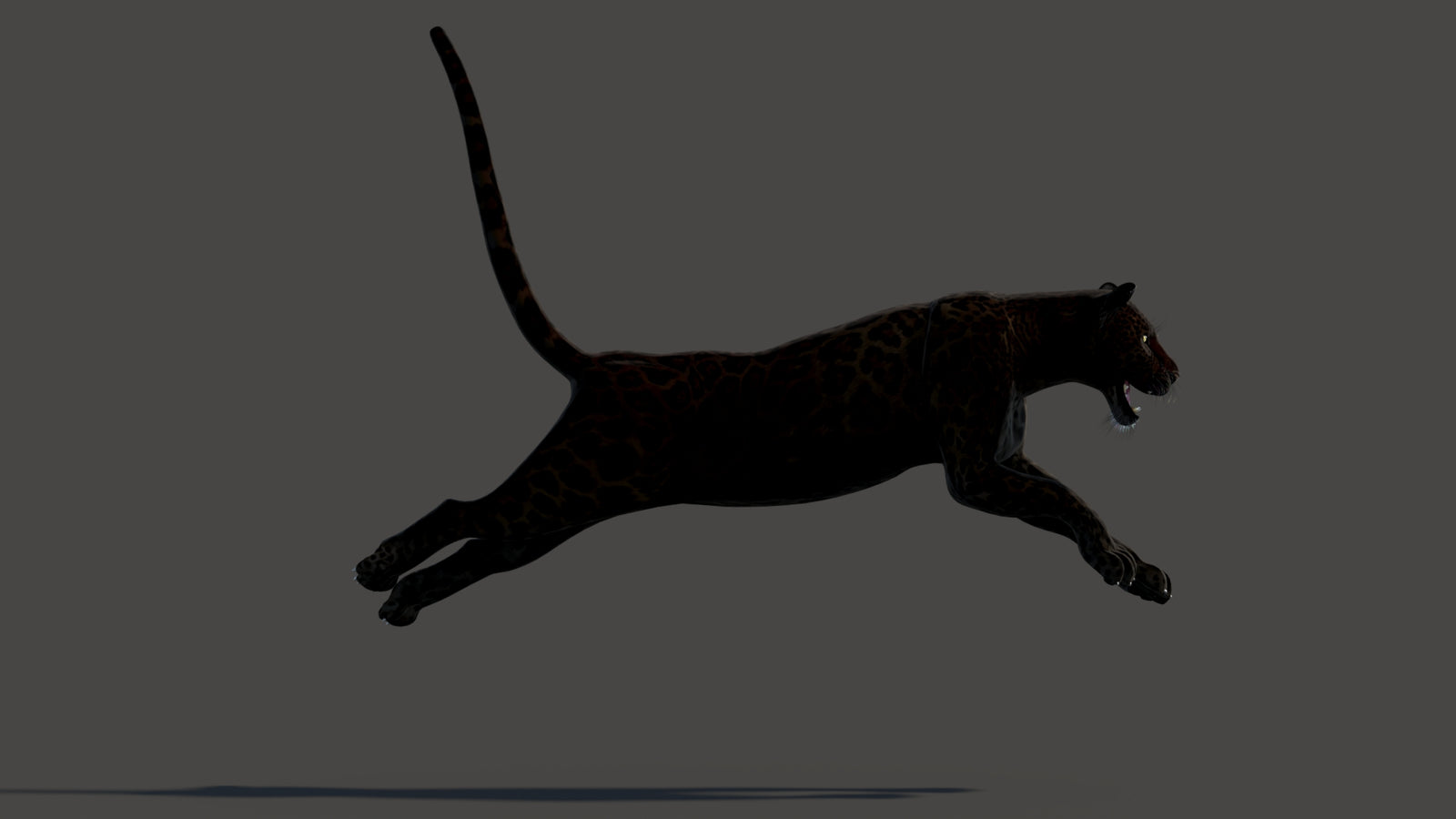 Animated Black Panther Animal 3D Model 360° view 3 frame 10