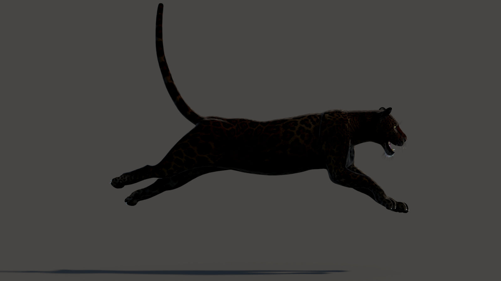 Animated Black Panther Animal 3D Model 360° view 3 frame 11