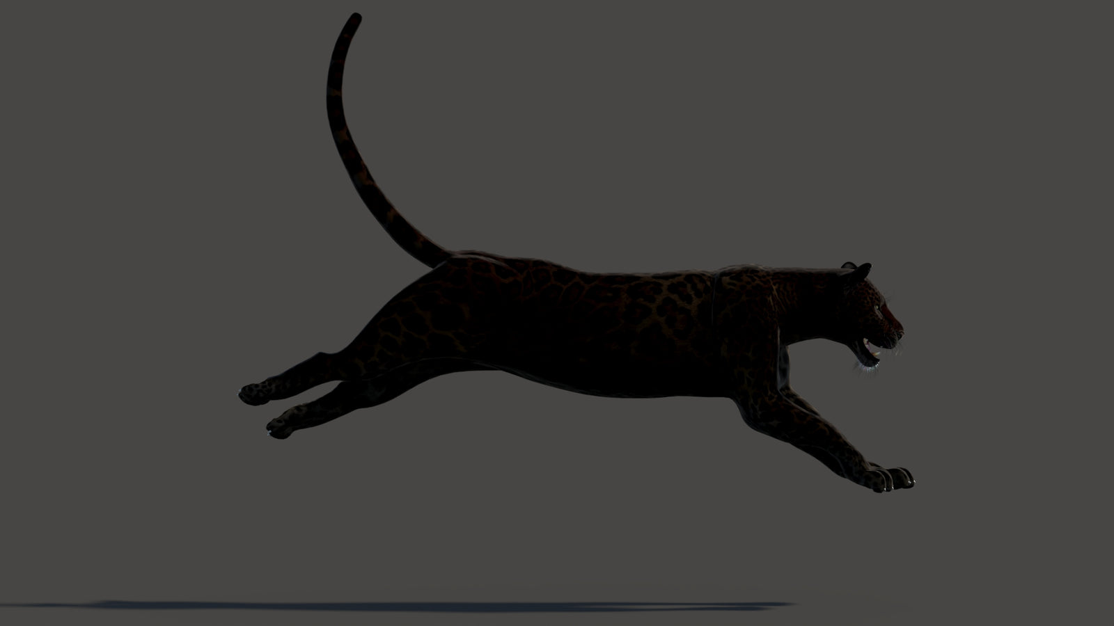 Animated Black Panther Animal 3D Model 360° view 3 frame 12