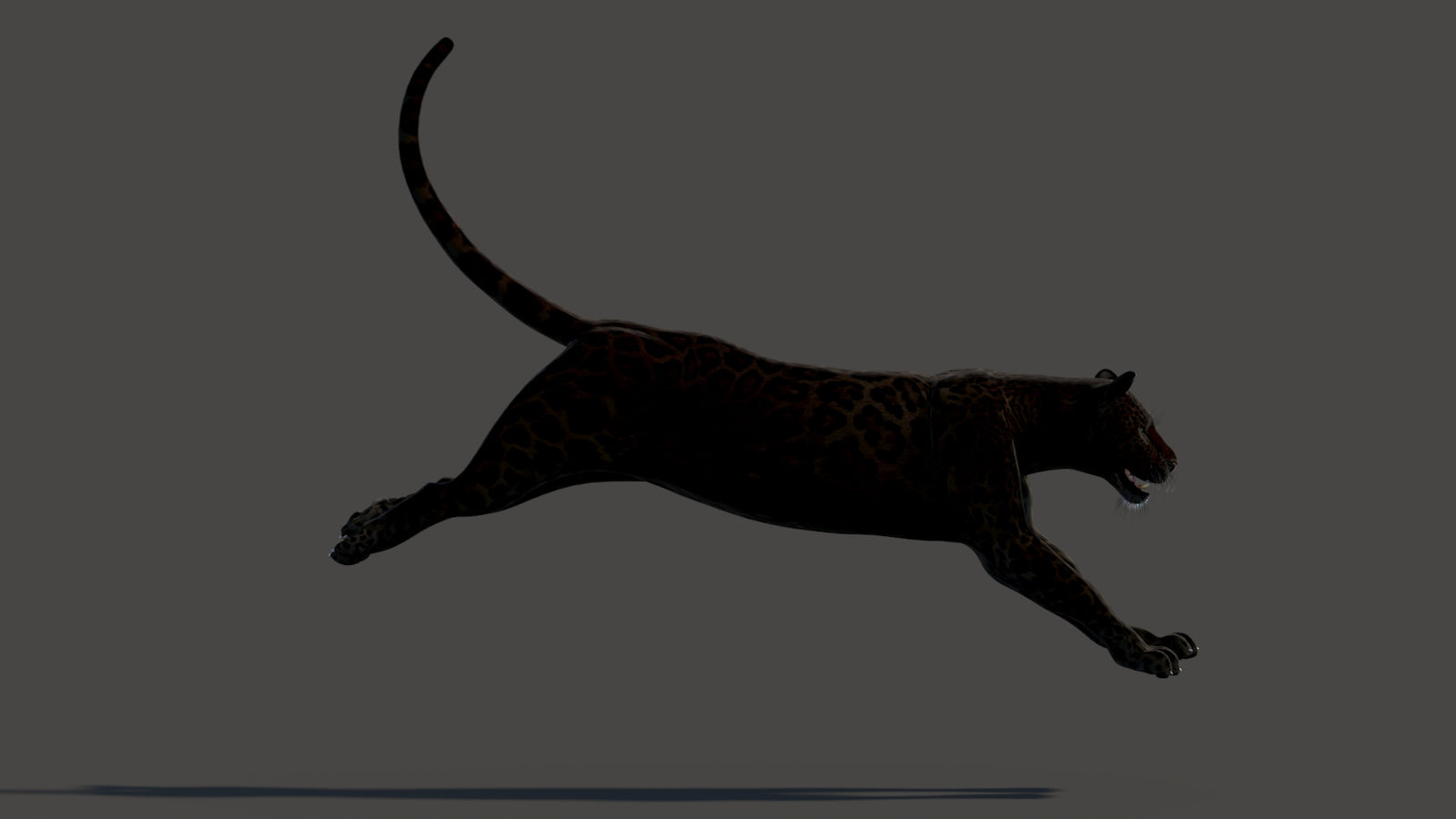 Animated Black Panther Animal 3D Model 360° view 3 frame 13