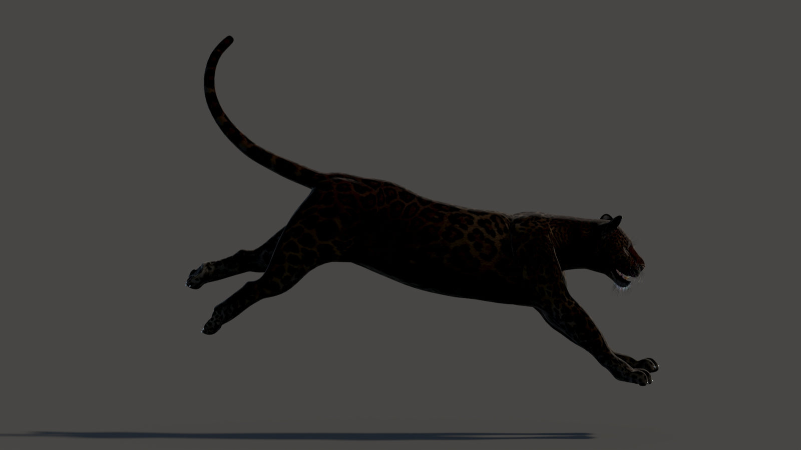 Animated Black Panther Animal 3D Model 360° view 3 frame 14