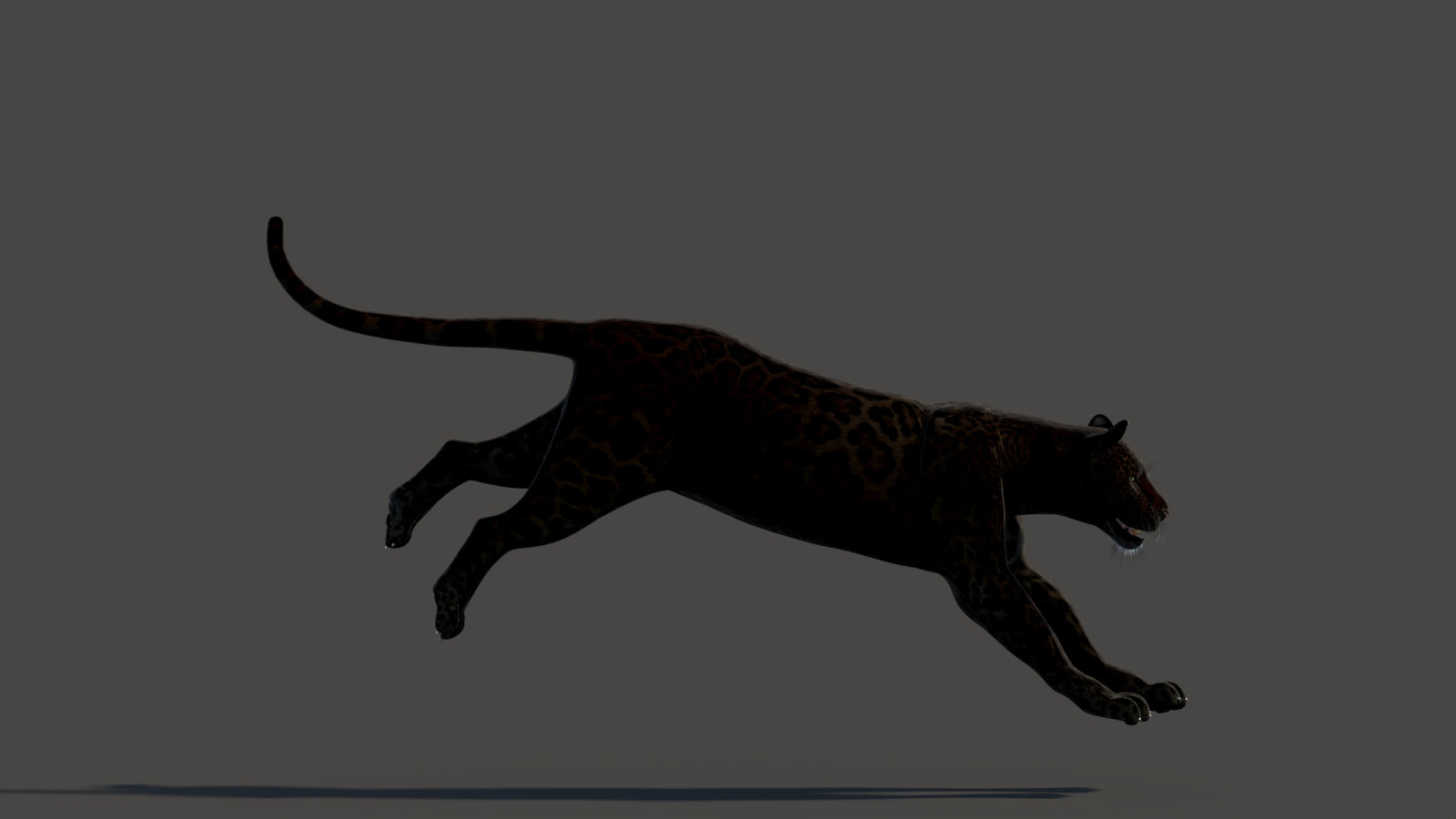 Animated Black Panther Animal 3D Model 360° view 3 frame 16
