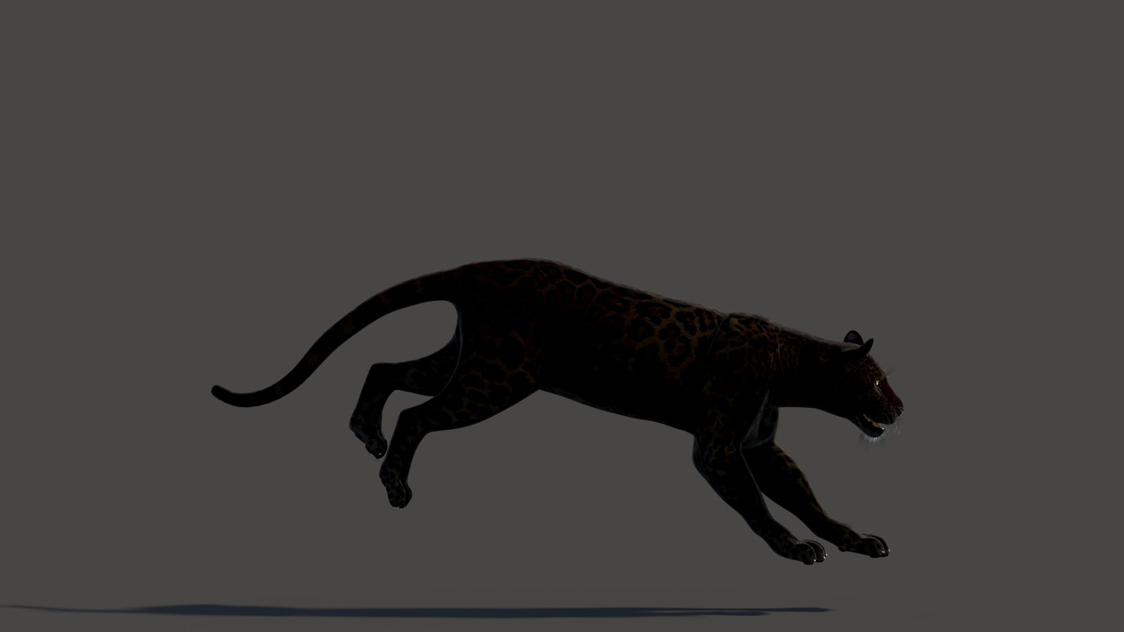 Animated Black Panther Animal 3D Model 360° view 3 frame 18