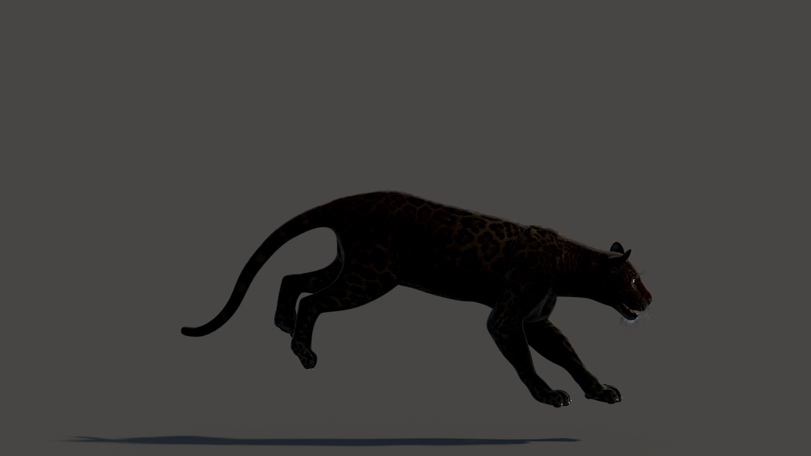 Animated Black Panther Animal 3D Model 360° view 3 frame 19