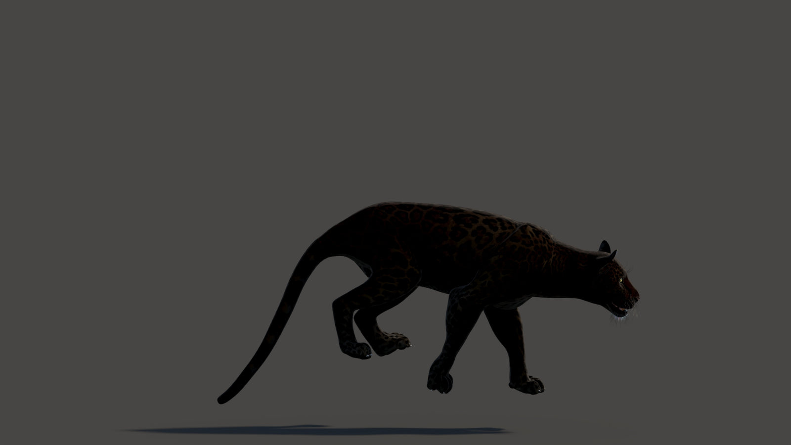 Animated Black Panther Animal 3D Model 360° view 3 frame 22