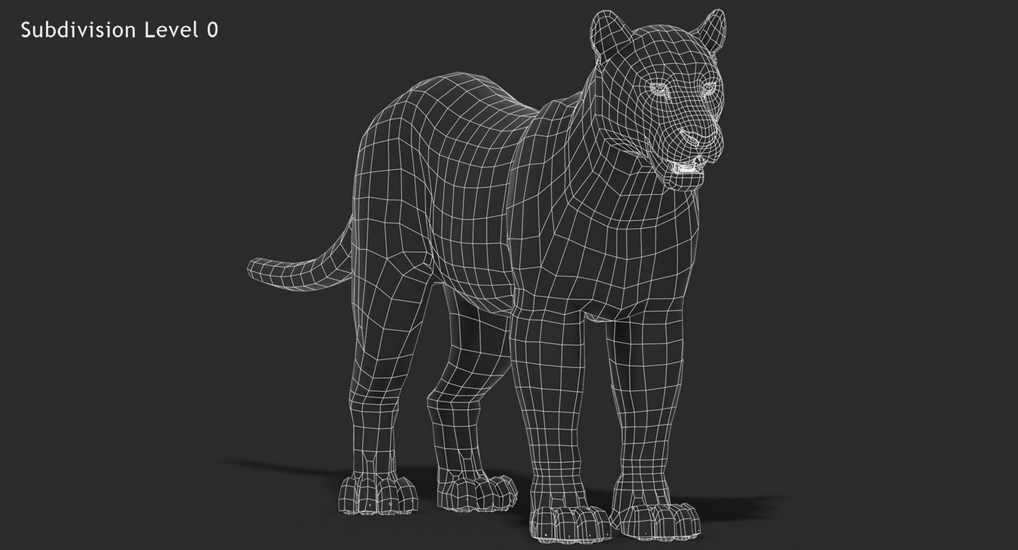 Big Cats 3D Model