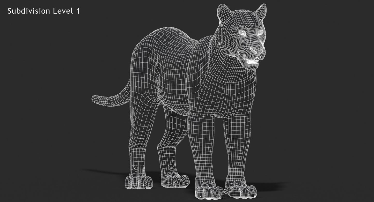 Big Cats 3D Model