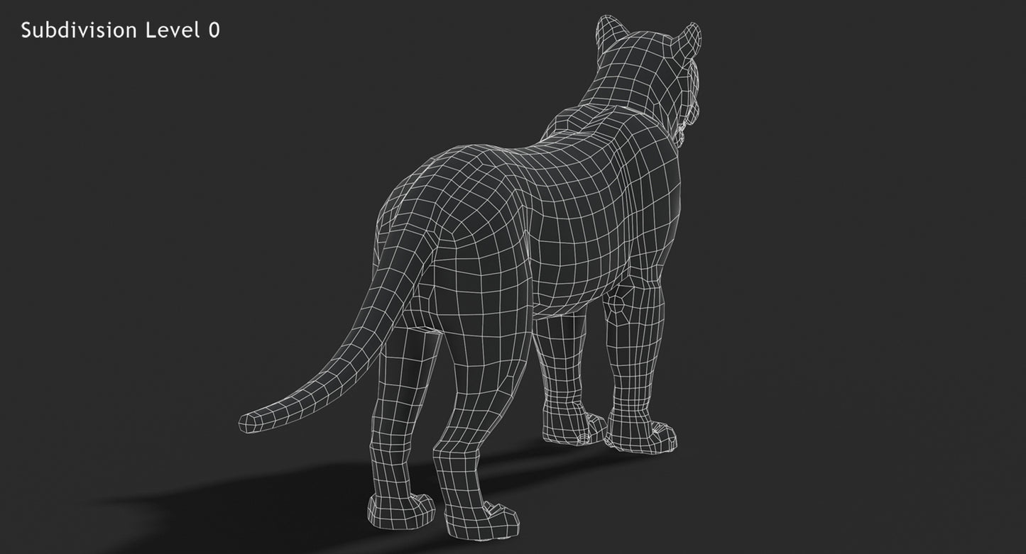 Big Cats 03 3D Model