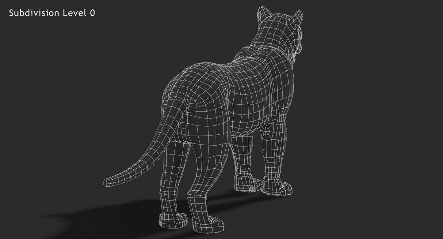 Big Cats 3D Model