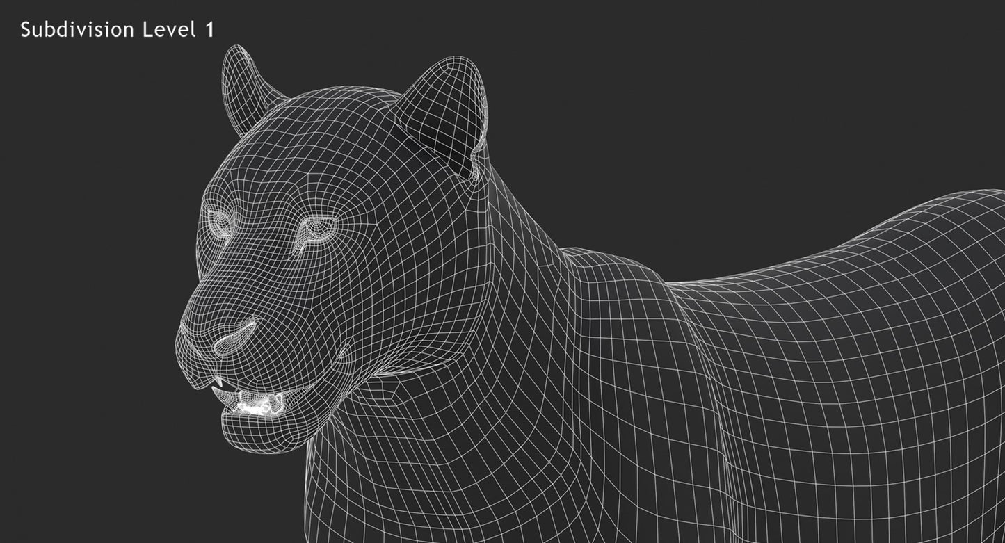 Big Cats 3D Model