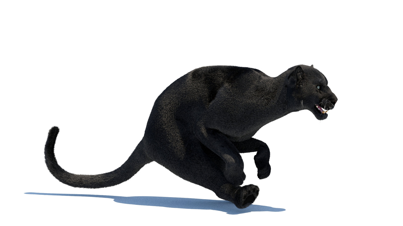 Animated Black Panther 3D Model Fur 360° view 3 frame 3