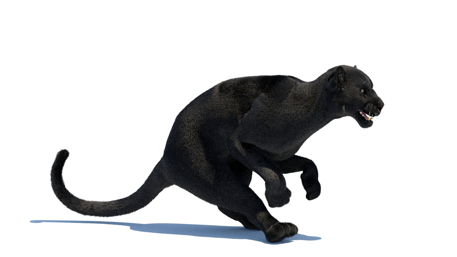 Animated Black Panther 3D Model Fur 360° view 3 frame 4