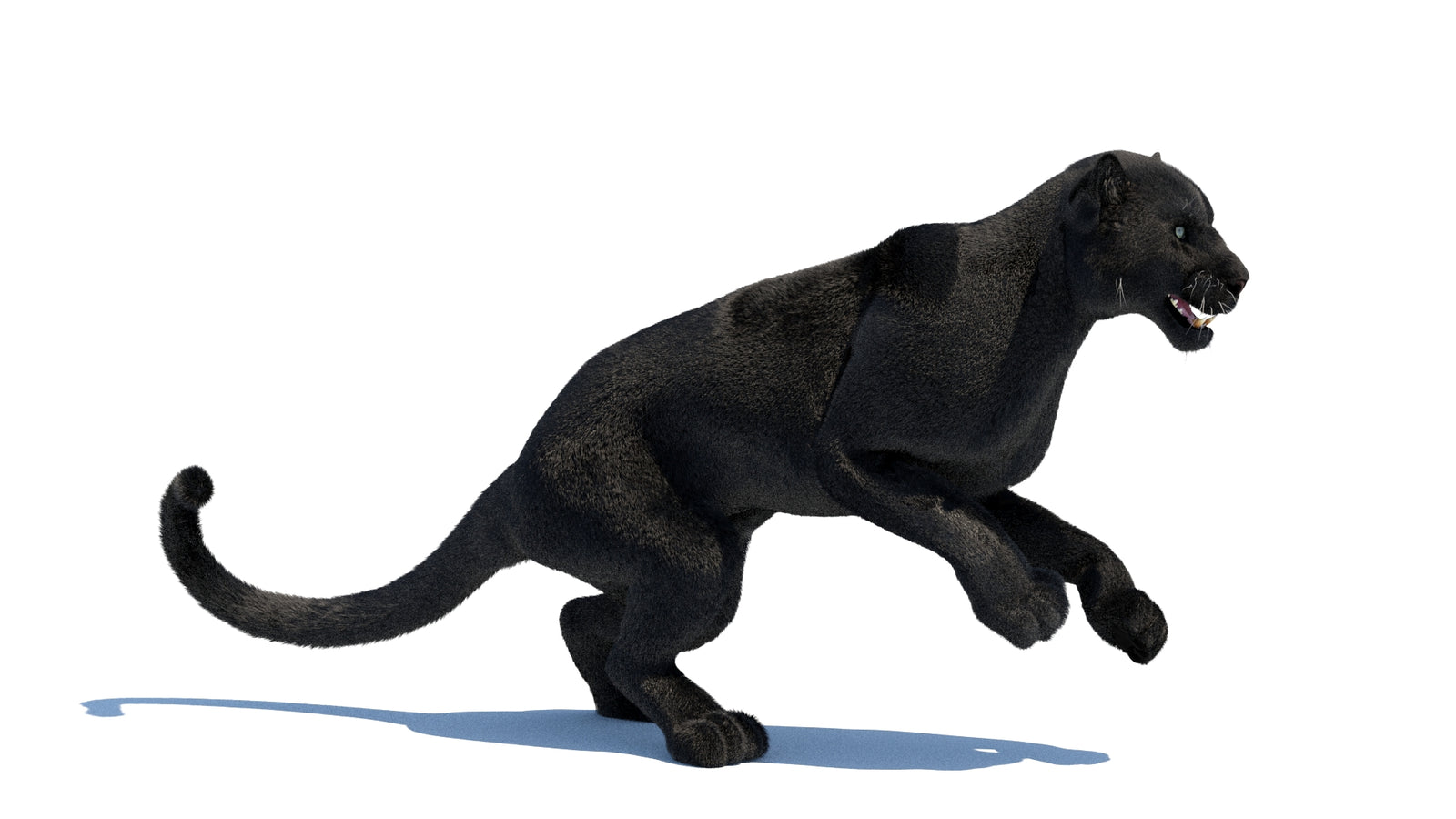Animated Black Panther 3D Model Fur 360° view 3 frame 7