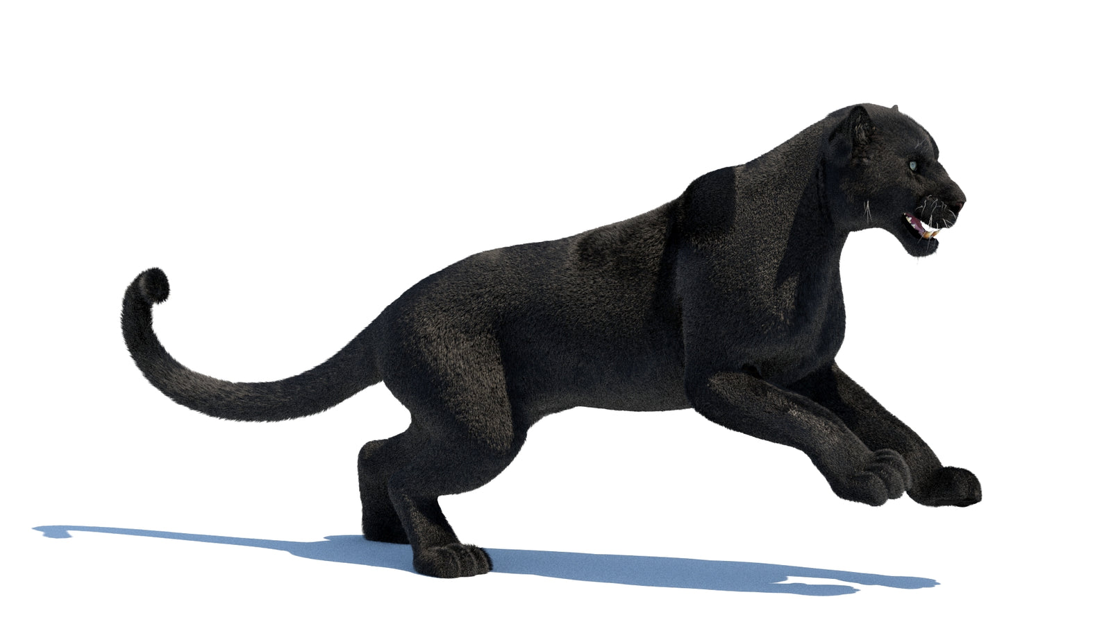 Animated Black Panther 3D Model Fur 360° view 3 frame 9