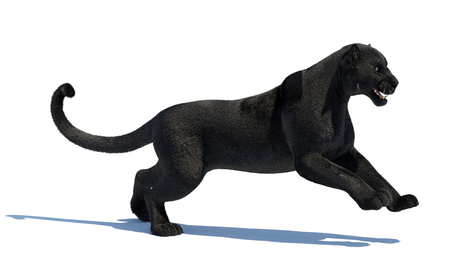 Animated Black Panther 3D Model Fur 360° view 3 frame 10