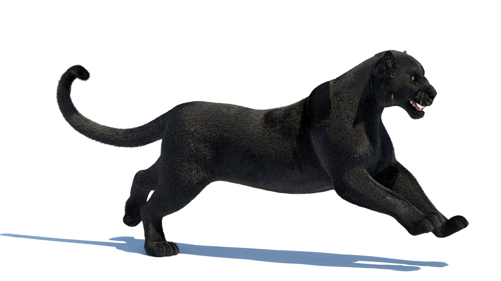 Animated Black Panther 3D Model Fur 360° view 3 frame 11