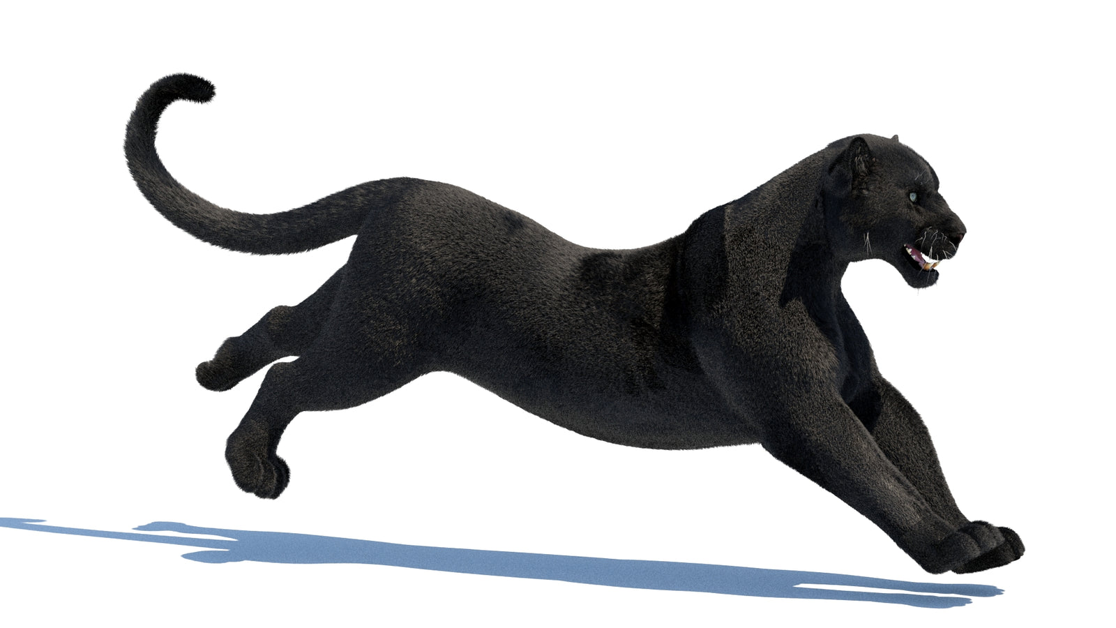 Animated Black Panther 3D Model Fur 360° view 3 frame 13