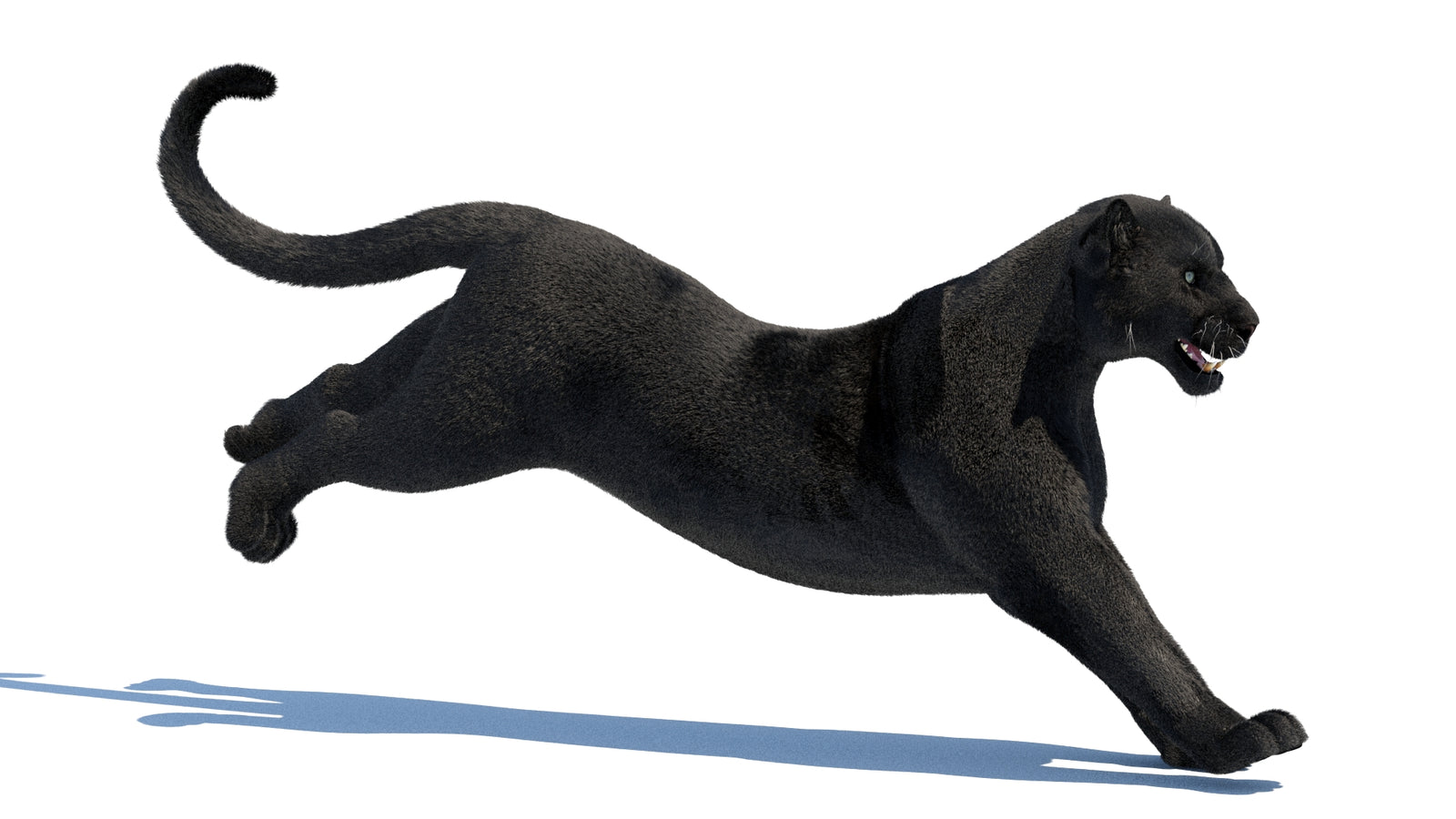 Animated Black Panther 3D Model Fur 360° view 3 frame 14