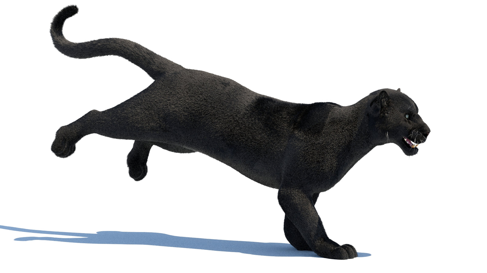 Animated Black Panther 3D Model Fur 360° view 3 frame 18