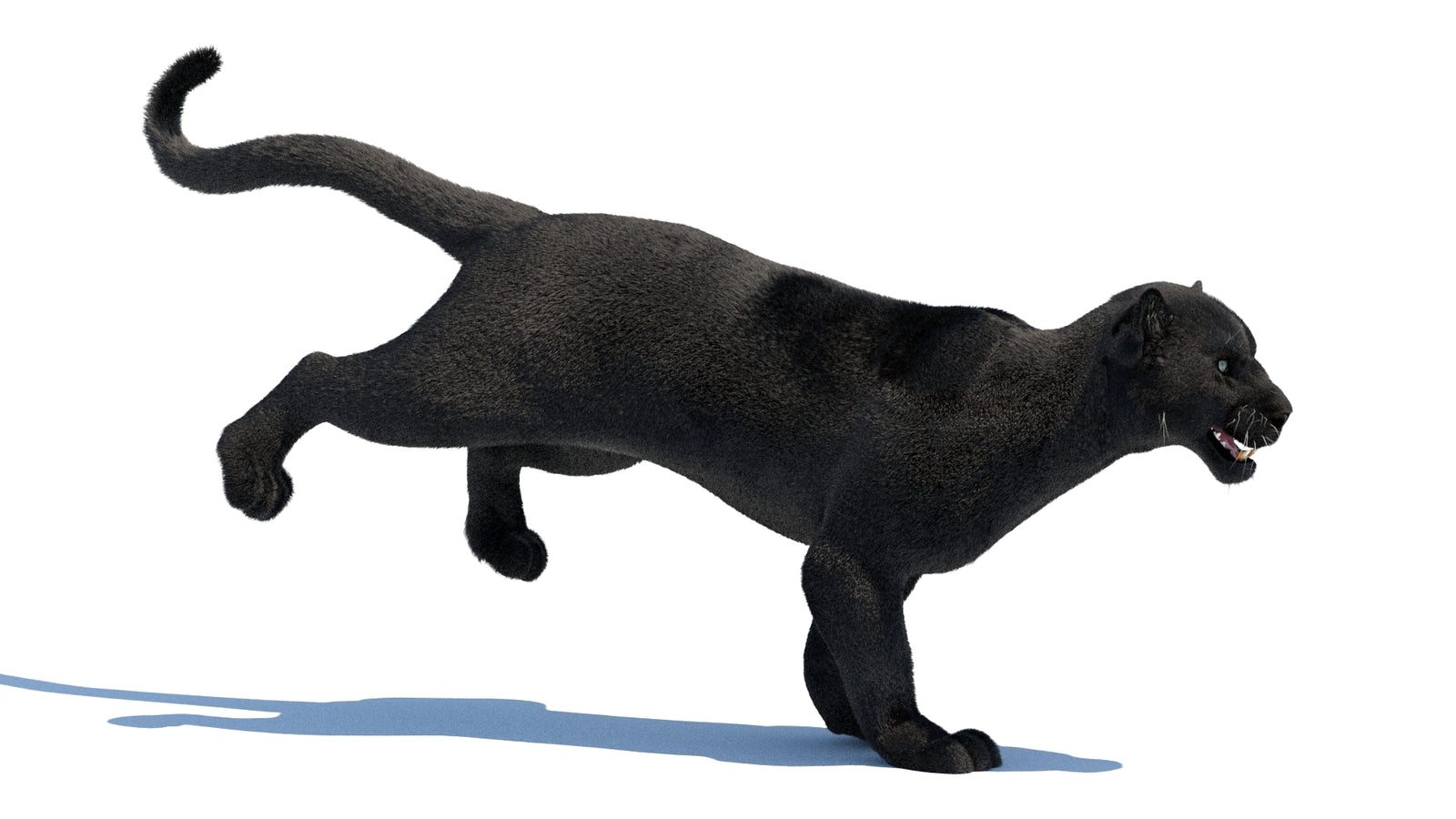 Animated Black Panther 3D Model Fur 360° view 3 frame 19