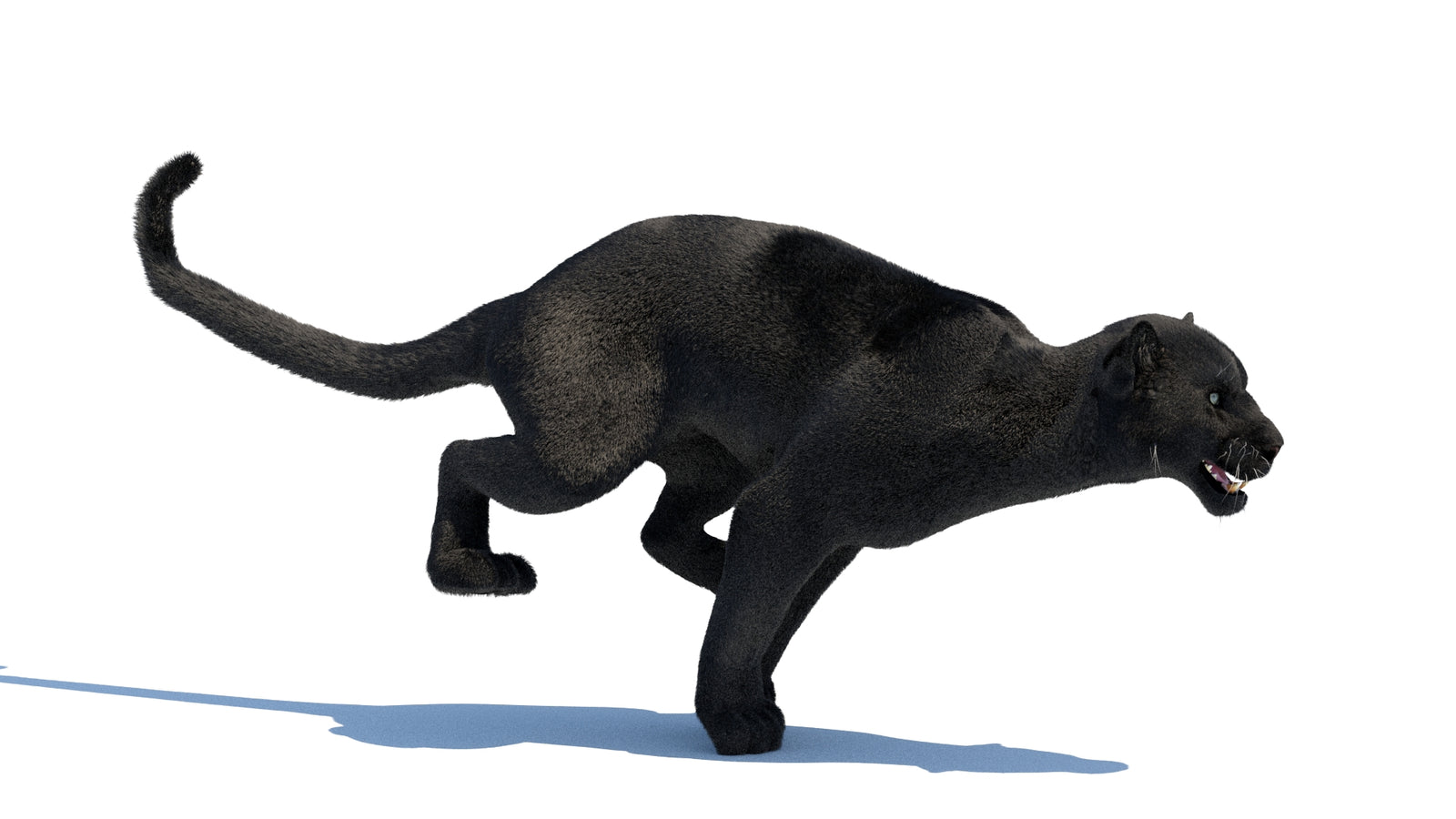 Animated Black Panther 3D Model Fur 360° view 3 frame 22