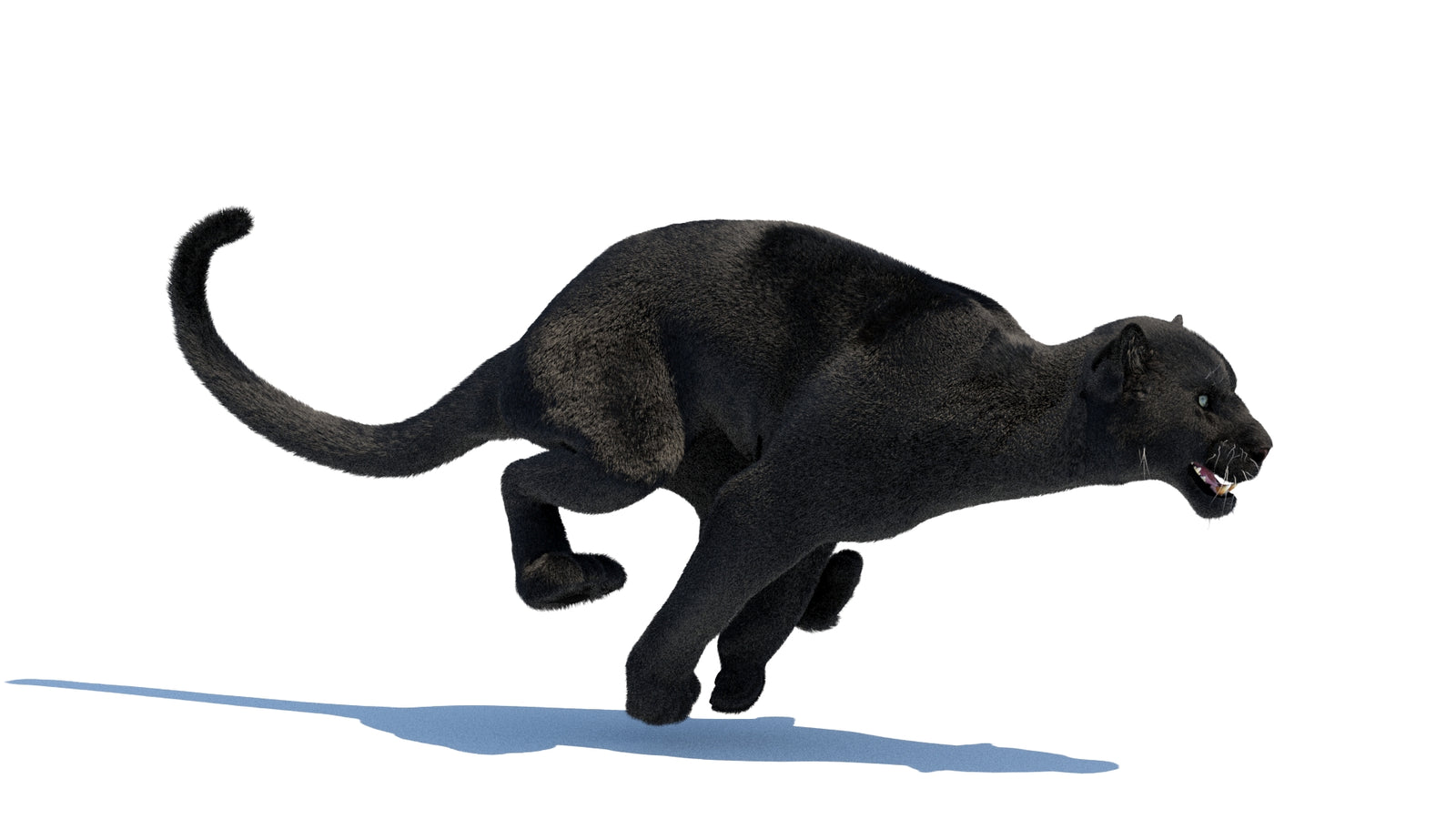 Animated Black Panther 3D Model Fur 360° view 3 frame 23