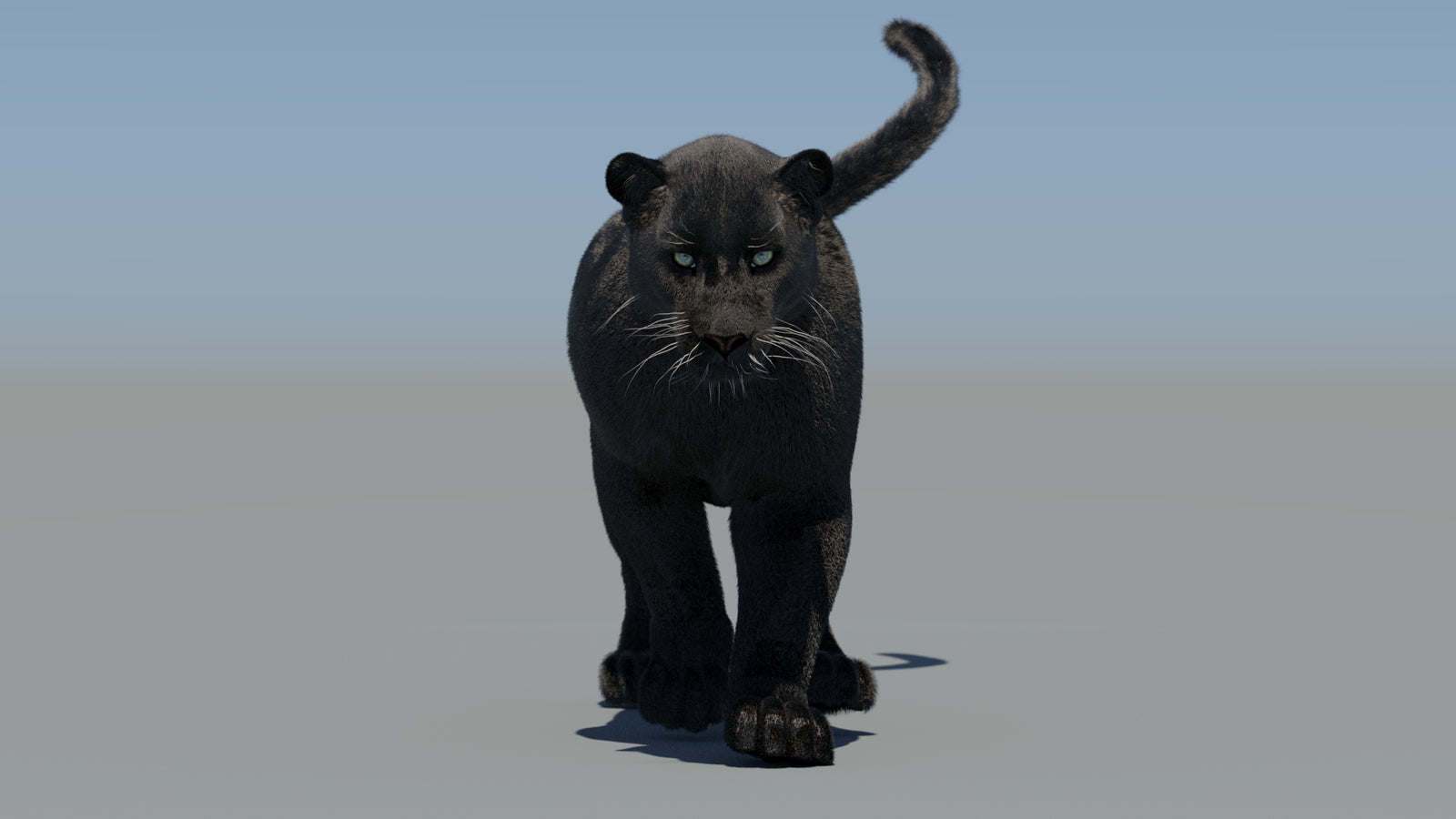 Animated Black Panther 3D Model Fur 360° view 5 frame 23