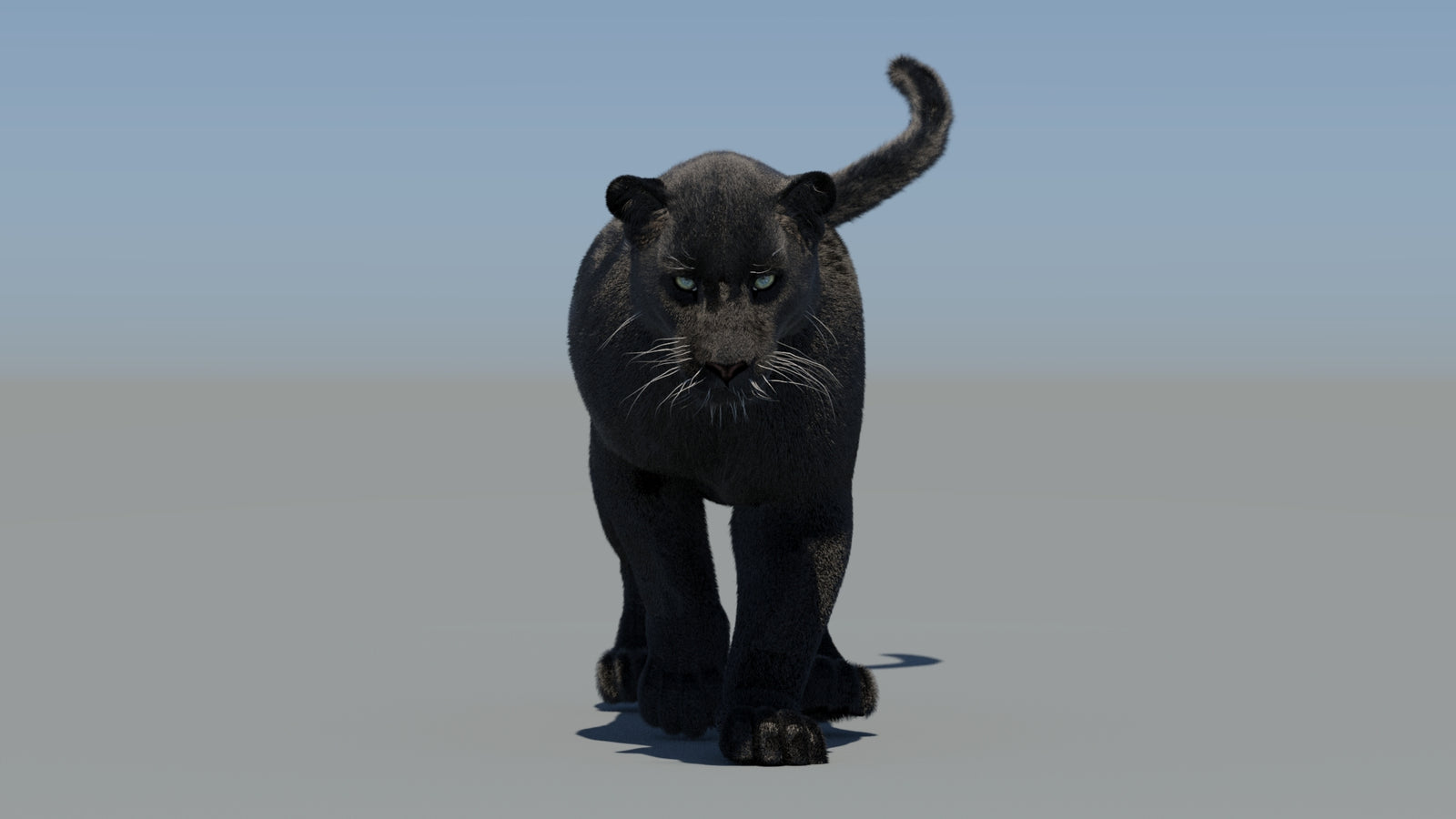 Animated Black Panther 3D Model Fur 360° view 5 frame 25