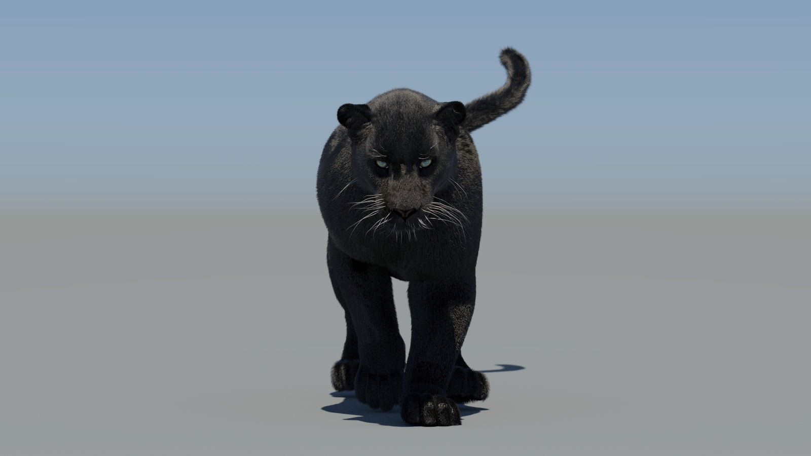 Animated Black Panther 3D Model Fur 360° view 5 frame 26
