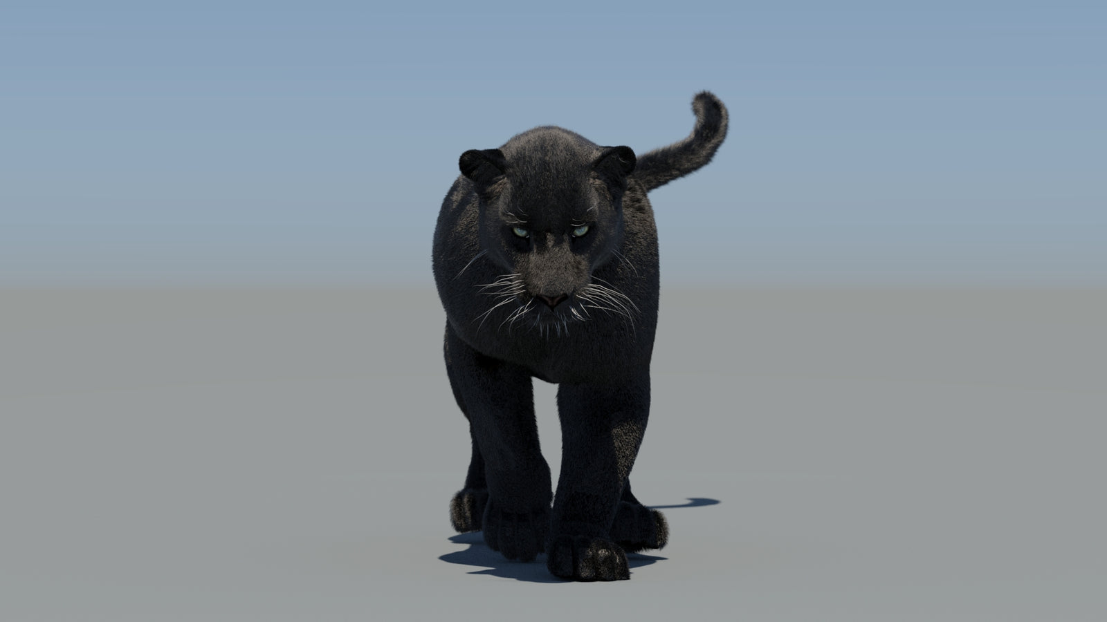 Animated Black Panther 3D Model Fur 360° view 5 frame 27
