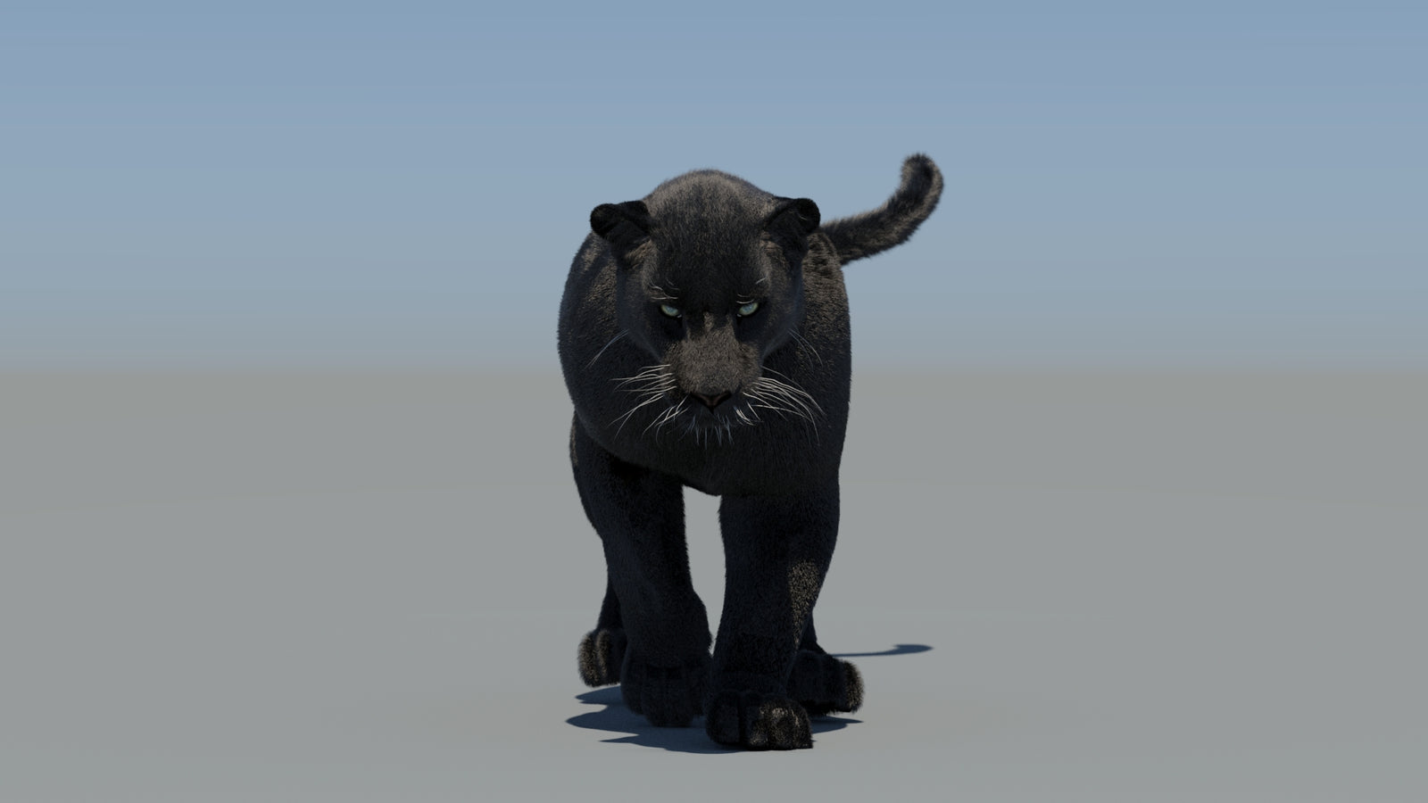 Animated Black Panther 3D Model Fur 360° view 5 frame 28
