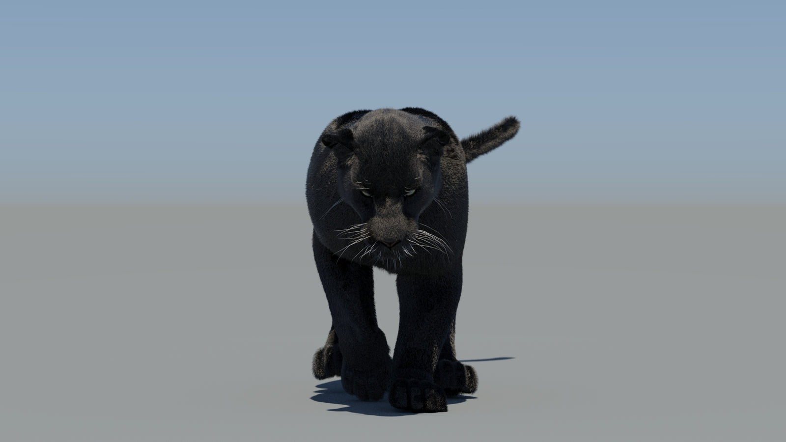 Animated Black Panther 3D Model Fur 360° view 5 frame 32