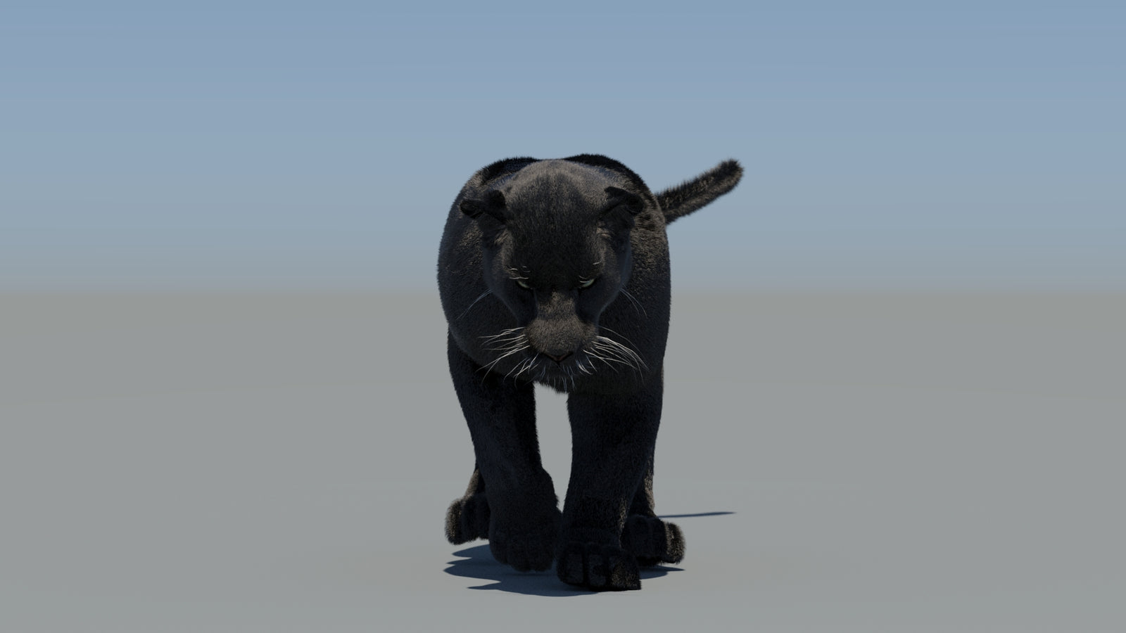 Animated Black Panther 3D Model Fur 360° view 5 frame 33