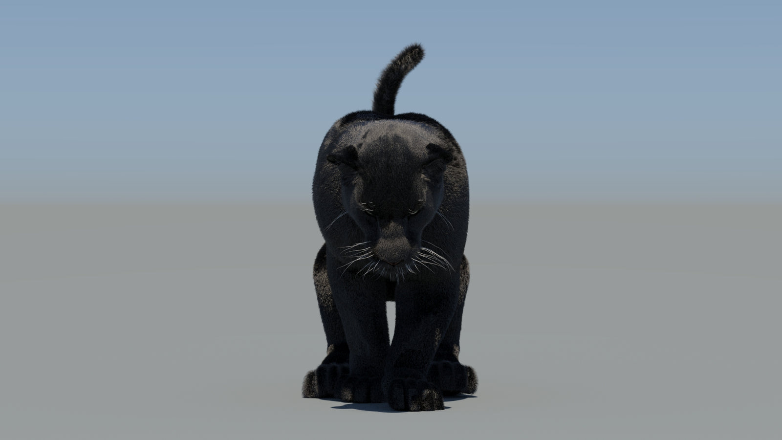 Animated Black Panther 3D Model Fur 360° view 5 frame 44